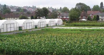 Salop Drive Market Garden