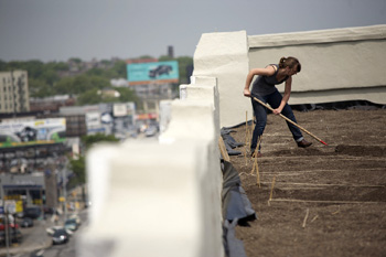 Rooftop food production at Brooklyn Grange Farm in New York