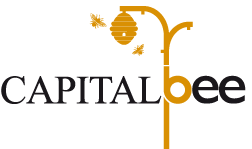 Capital Bee Capital Bee