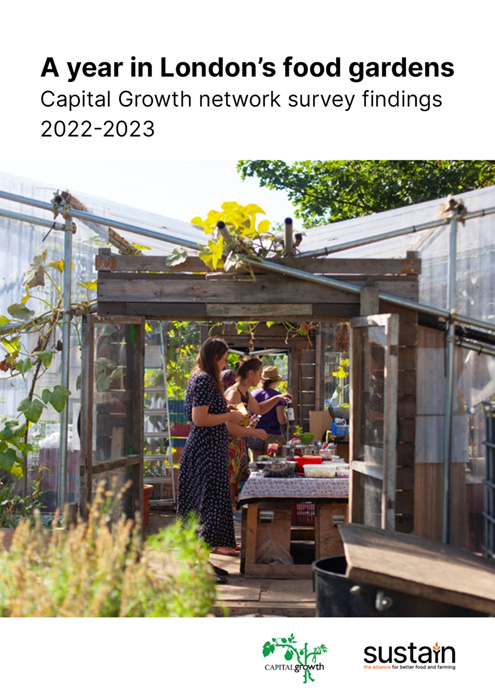 A year in London’s food gardens: Capital Growth network survey findings 2022-2023