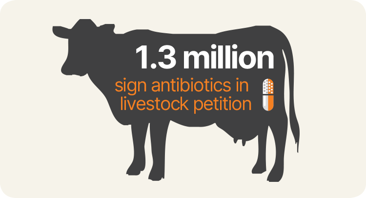1.3 million sign antibiotics in livestock petition. Credit: 