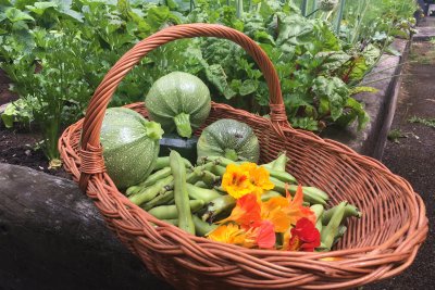 Basket with veggies. Credit: Sustain