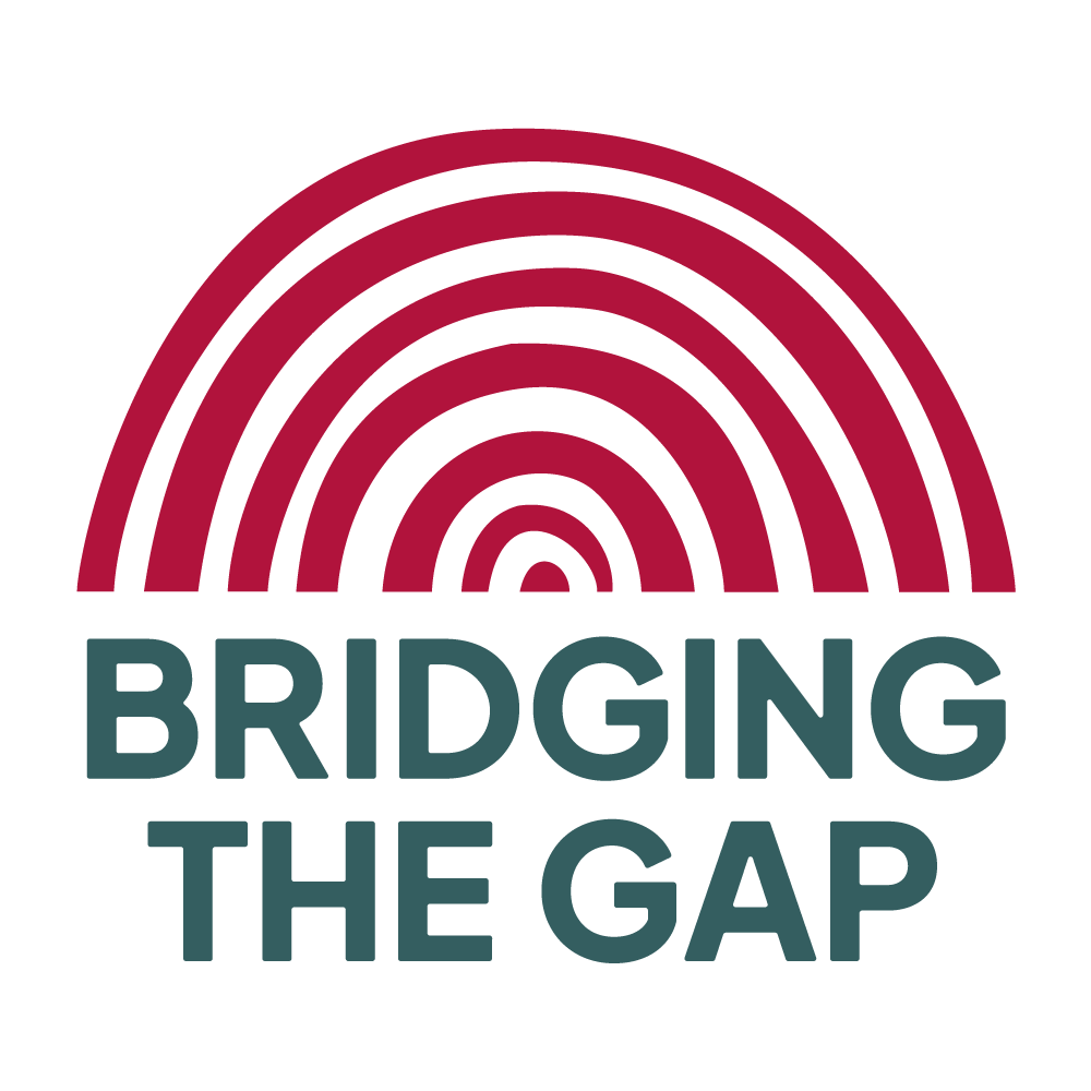 Bridging the gap logo