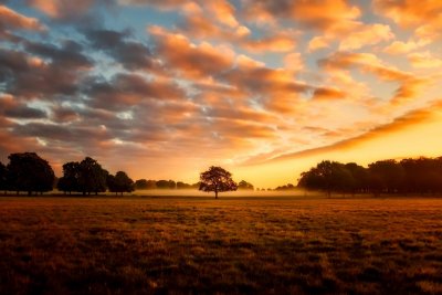 British rural landscape. Credit: Pixabay