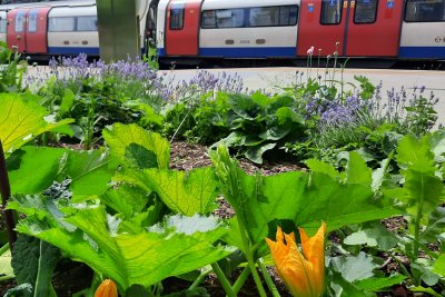 Finchley Central. Credit: Naomi Paine