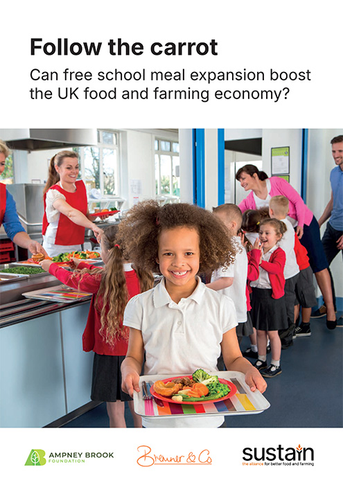 Follow the Carrot - report cover. Credit: Sustain