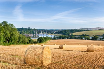 Hay bales at harvest time in the Cornish countryside. Credit: Helen Hotson / Shutterstock