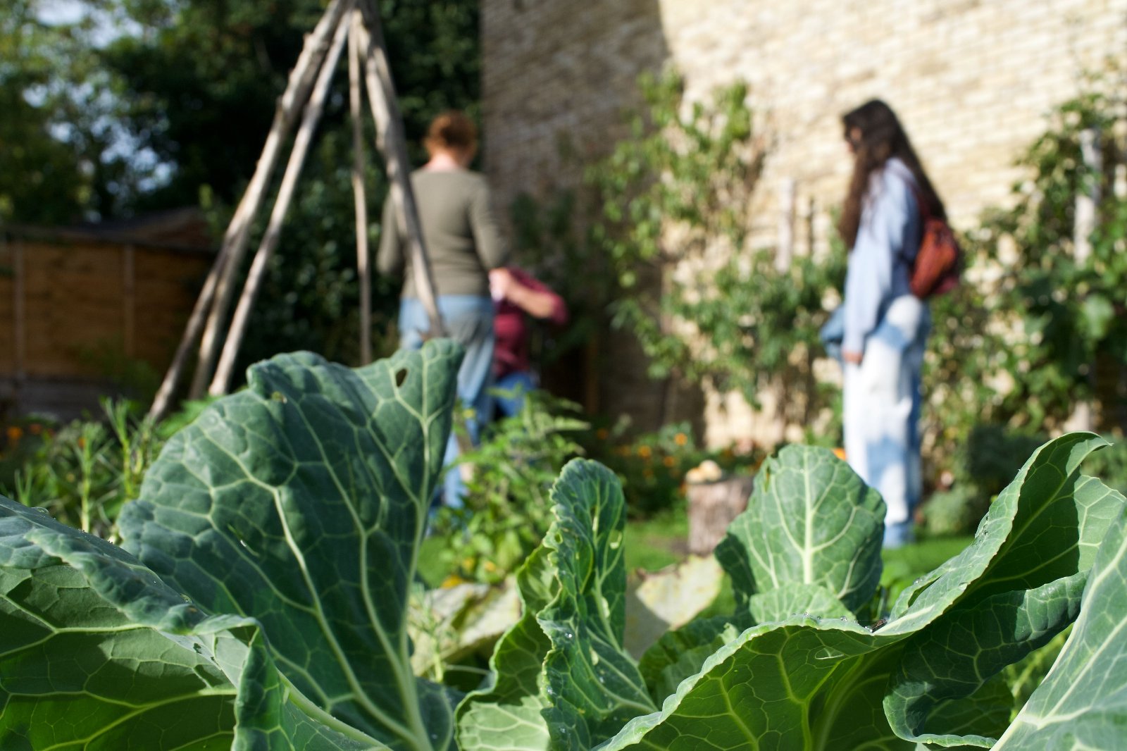 good-to-grow-day-2023-sustain
