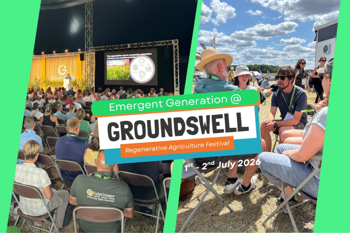Groups at Groundswell regenerative farming festival. Credit: Emergent Generation