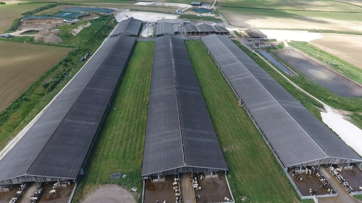Aerial drone shot of three mega-farm sheds. Copyright: AGtivist
