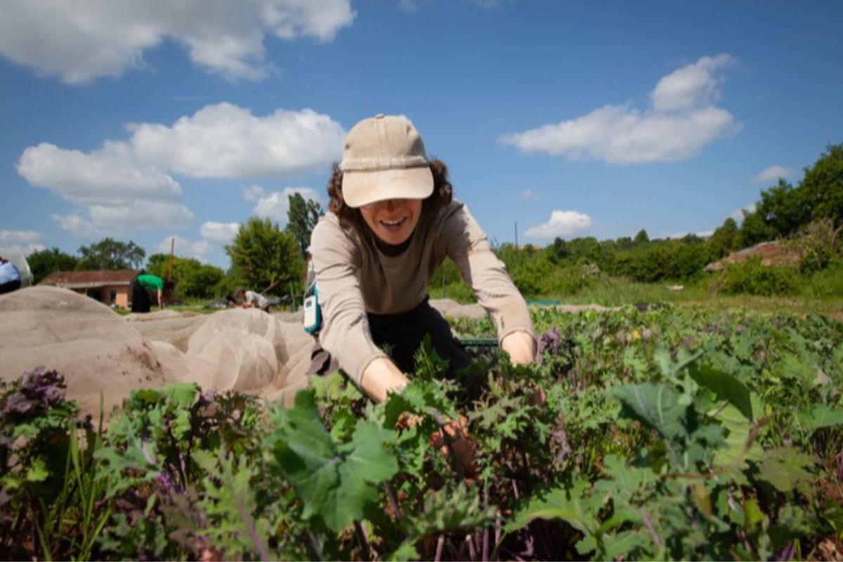 A grower tending to their crops. Credit: Mark Simmons