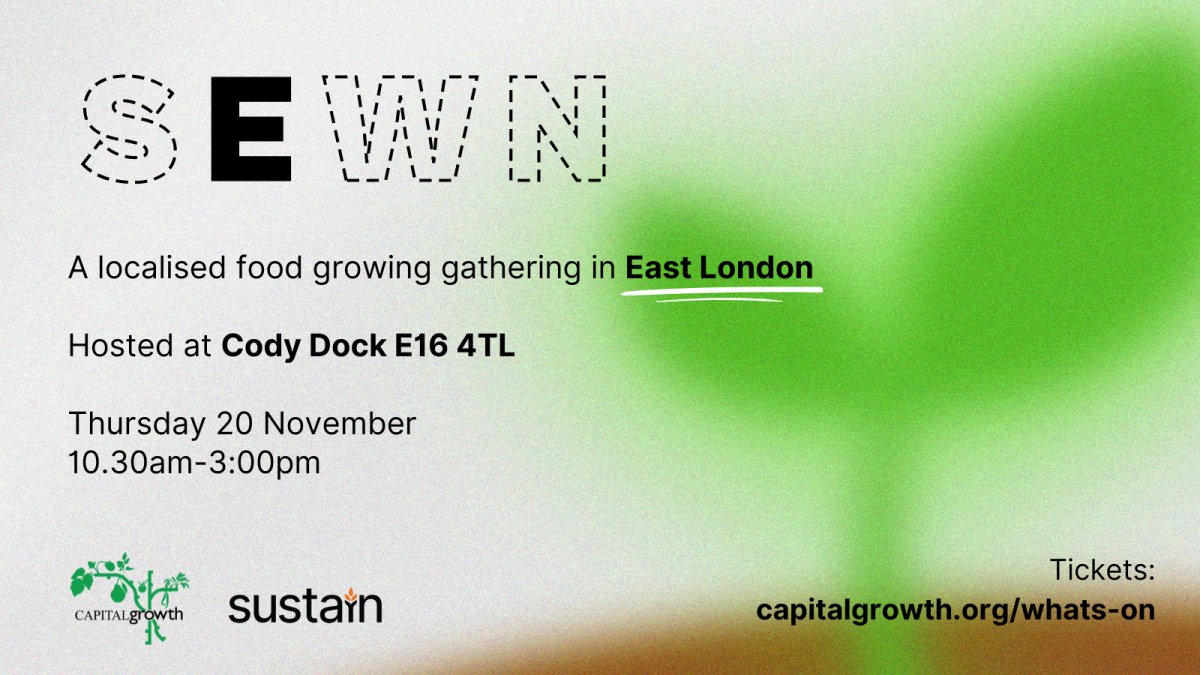 SEWN East 2025 web graphic. Credit: Lula