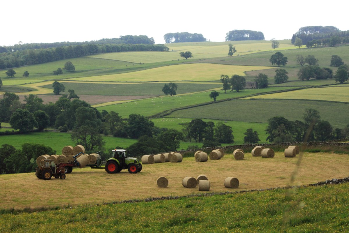 UK countryside. Copyright: JamieAW | Istock