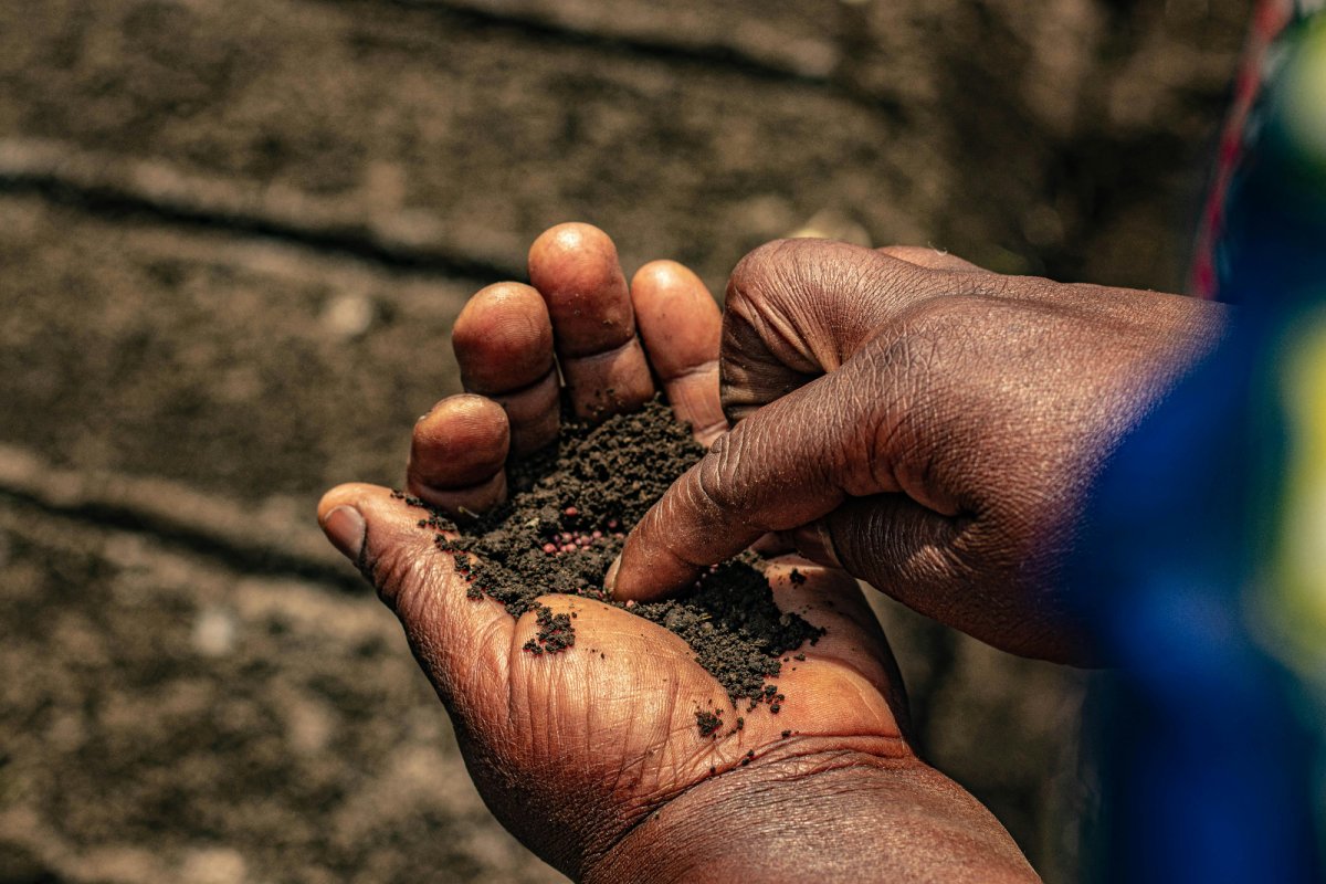 Black hands holding soil and seeds. Credit: Ahadi Muyali | Pexels