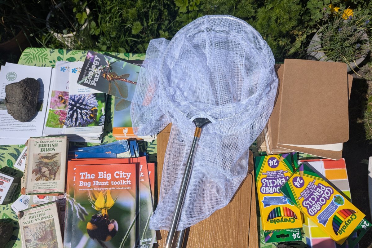 Big City Bug Hunt table at Christchurch School Community Garden for Good to Grow 2026. Credit: Lula Wattam