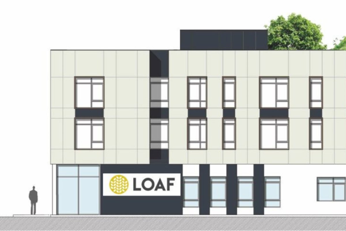 The look of Loaf. Copyright: Loaf