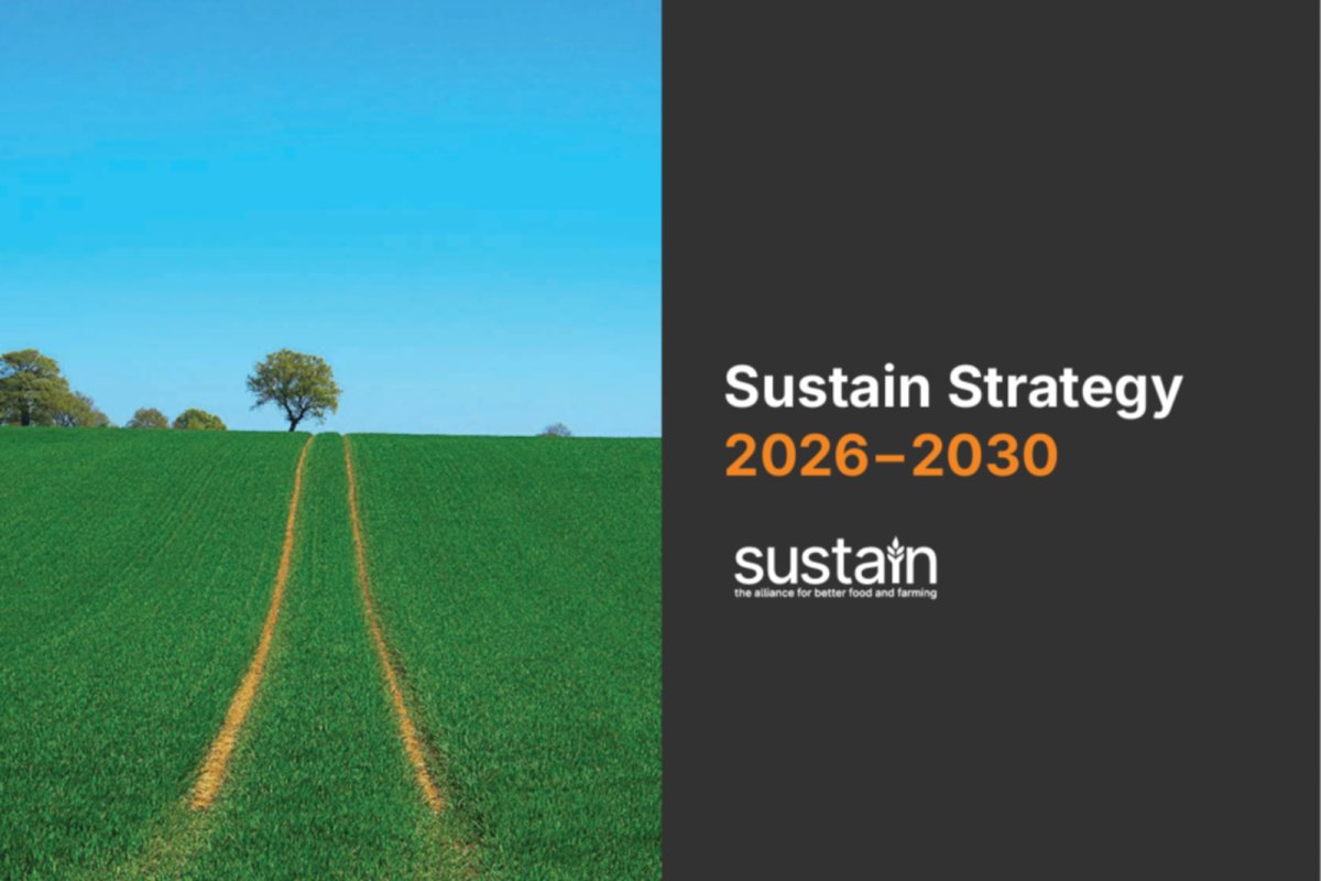 Sustain Strategy 2026-2030. 