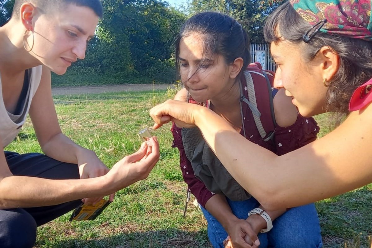 people in a garden gathered around studying a bee . Credit: Rachel Dring | Sustain