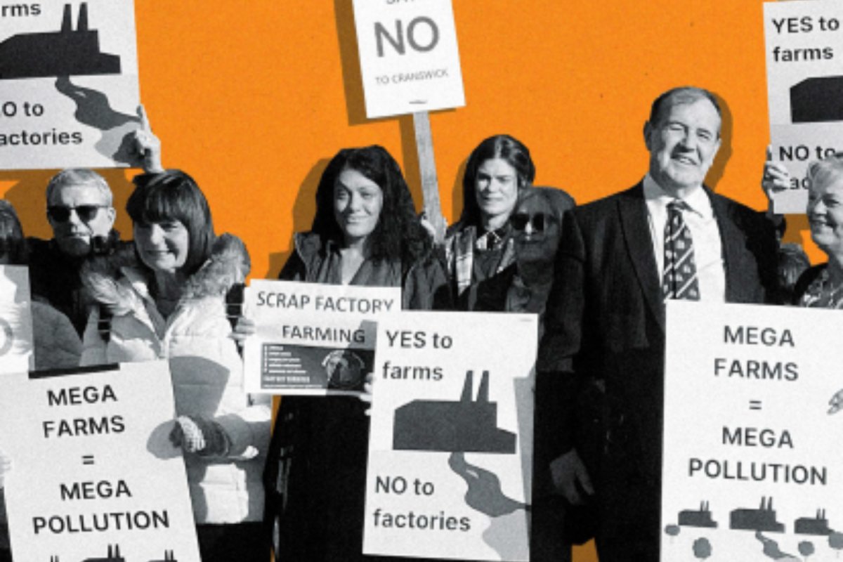 A crowd of community campaigners hold signs in protest of factory farm application. Credit: Alan Karlik | Sustain