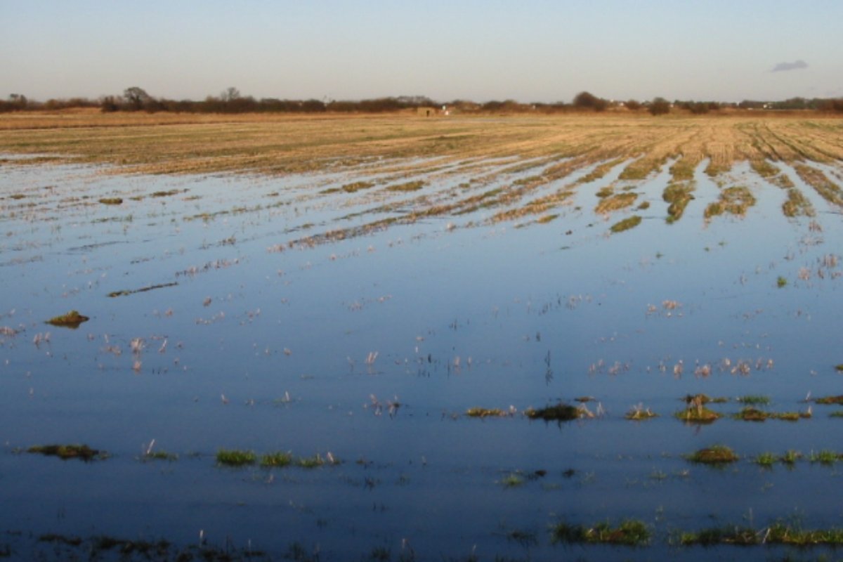 Flooded farmland in the Lydden Valley, Kent, UK. Credit: By Nick Smith, CC BY-SA 2.0, https://commons.wikimedia.org/w/index.php?curid=13191848