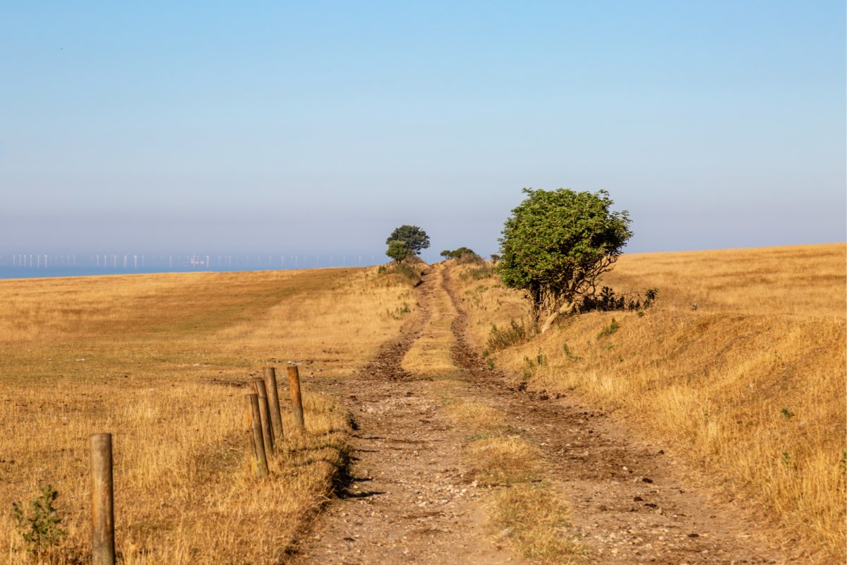 A pathway in the Sussex countryside with parched fields either side due to a heat wave. Copyright: Lemanieh | Istock