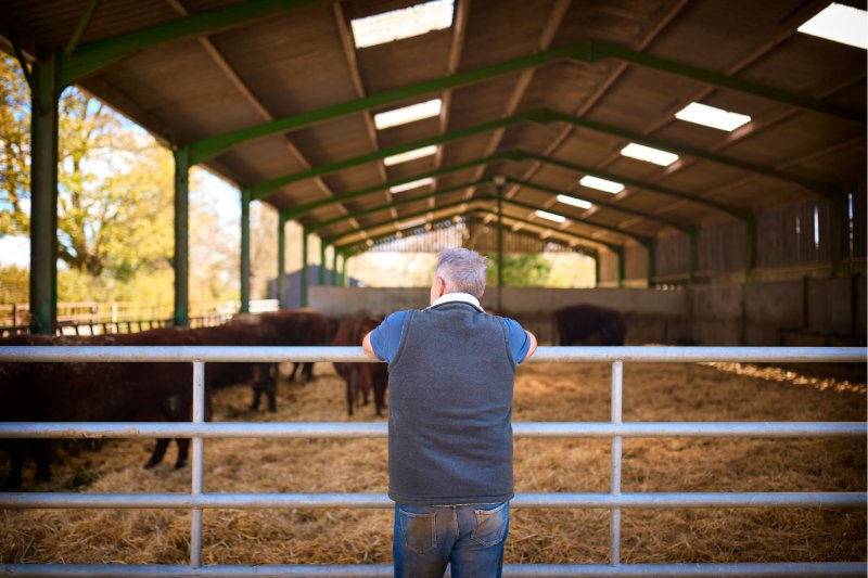 . Copyright: monkeybusinessimages | iStock