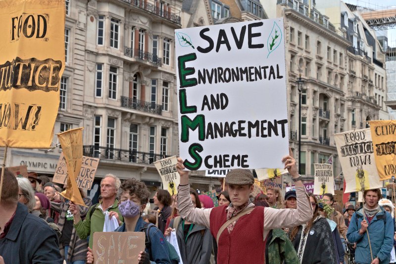 Save the Environmental Land Management scheme. Credit: Aryo Feldman