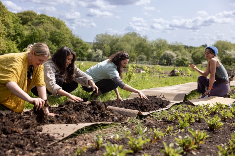 Local vegetable growers. Credit: Rachel Jones
