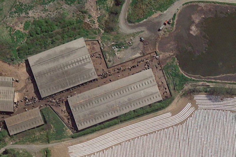 An aerial drone shot of an UK intensive livestock development. Credit: AGtivist