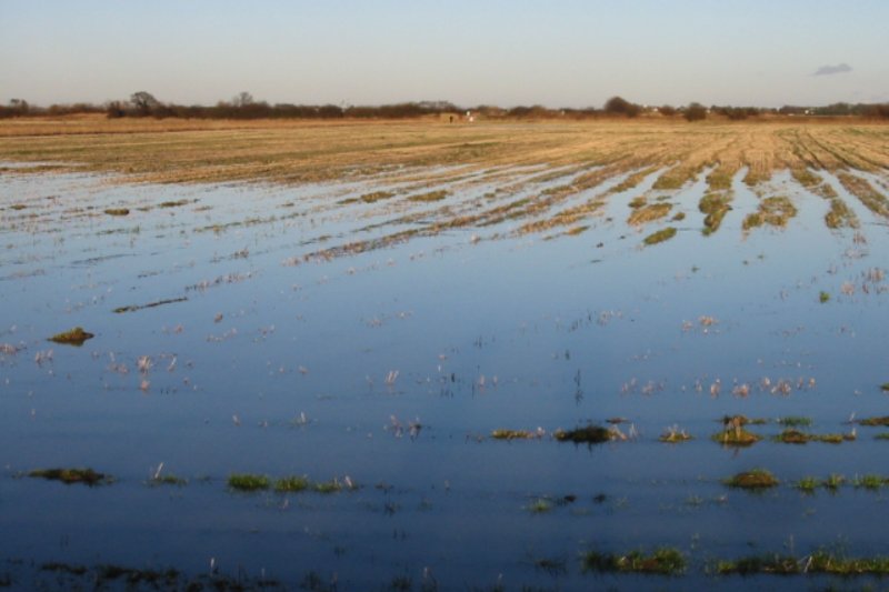 Flooded farmland in the Lydden Valley, Kent, UK. Credit: By Nick Smith, CC BY-SA 2.0, https://commons.wikimedia.org/w/index.php?curid=13191848