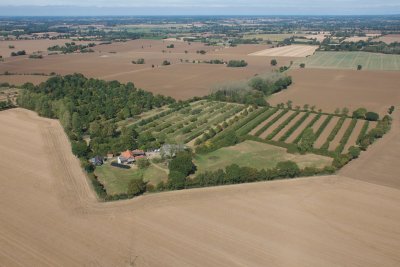 Wakelyns Farm in Suffolk, pioneers of agroforestry. Credit: Wakelyns Farm