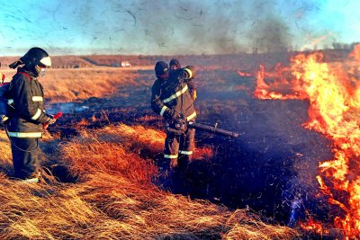 Firefighters Putting Out a Fire. Credit: Ruslegioner.live from Pexels