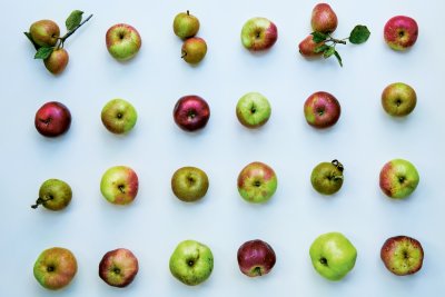 Apples. Credit: Jenny Zarins