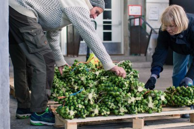 Food Hub. Copyright: Rachel Jones