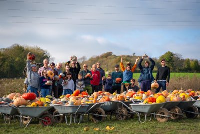 Volunteers gleaning pumpkins at Sompting Pumpkins, Sussex. Copyright: Caleb Yule, Stories of Note