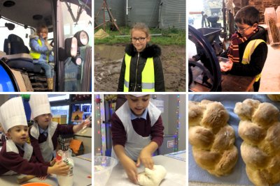 Real Bread from a field, not a factory. Copyright: Julie Oxley