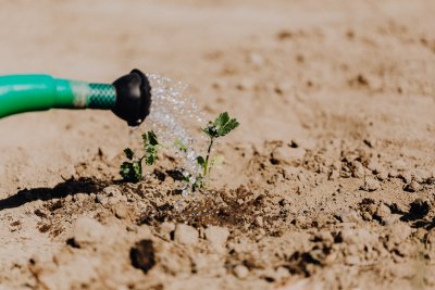 Irrigation systems help increase water efficiency. Copyright: Karolina Grabowska