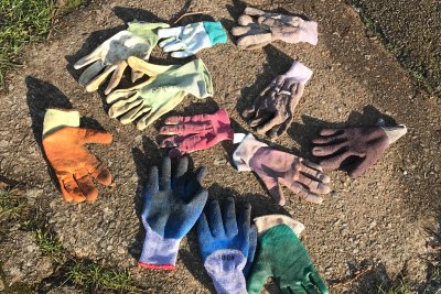 Gardening gloves. Credit: Ruth Robinson