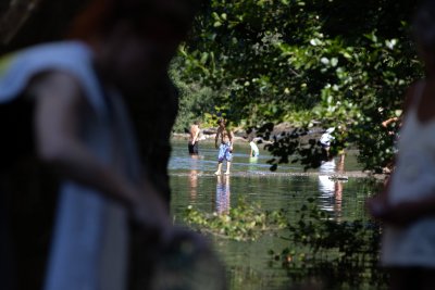 Swimmers enjoying a sunny day in the River Teme . Credit: Eamon Bourke