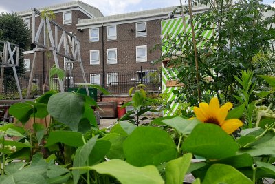 Community garden in the London Borough of Tower Hamlets. Credit: Sofia Parente