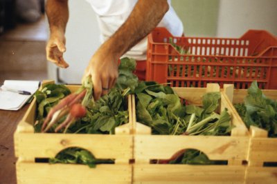 A farmer prepares some community supported agriculture (CSA) boxes in Val Varaita, Italy. Credit: Lucas Worsdell | Raíces de Soberanía