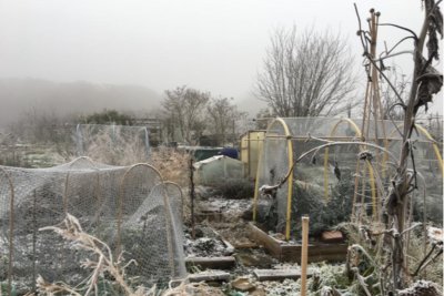 An allotment in Winter. Credit: Paul Richens