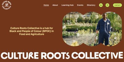 The front page of CultureRootsCollective.com. 