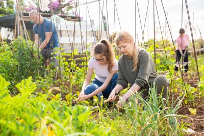 Growers attending to crops. Copyright: JackF | Istock