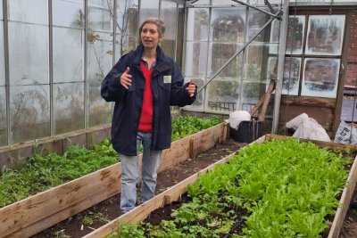 Cardiff Salad Garden greenhouse during Cardiff Fringe Farming event. Credit: Food Vale