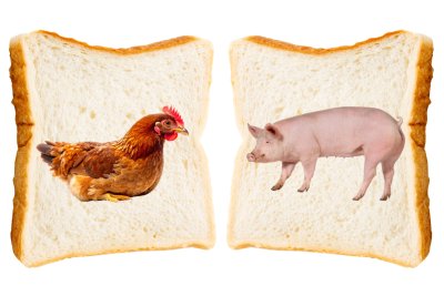 (Probably) not in your factory loaf. Credit: www.realbreadcampaign.org CC-BY-NC-SA-4.0