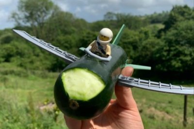 A school activity with courgettes. Credit: Food Sense Wales