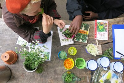 Social media ready snaps from community gardens. Copyright: Nat Mady | Hackney Herbal