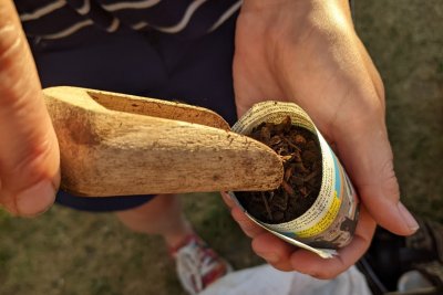 Little Veg Libraries and sustainable food growing workshop in Leeds. Credit: FoodWise Leeds