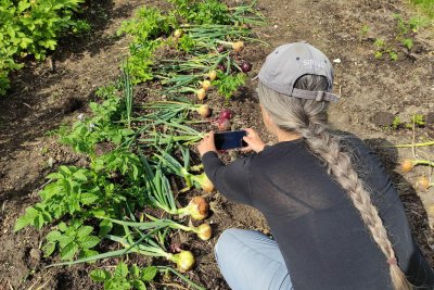 Community food growing digital storytelling in action. Copyright: Beth Scott | RISC